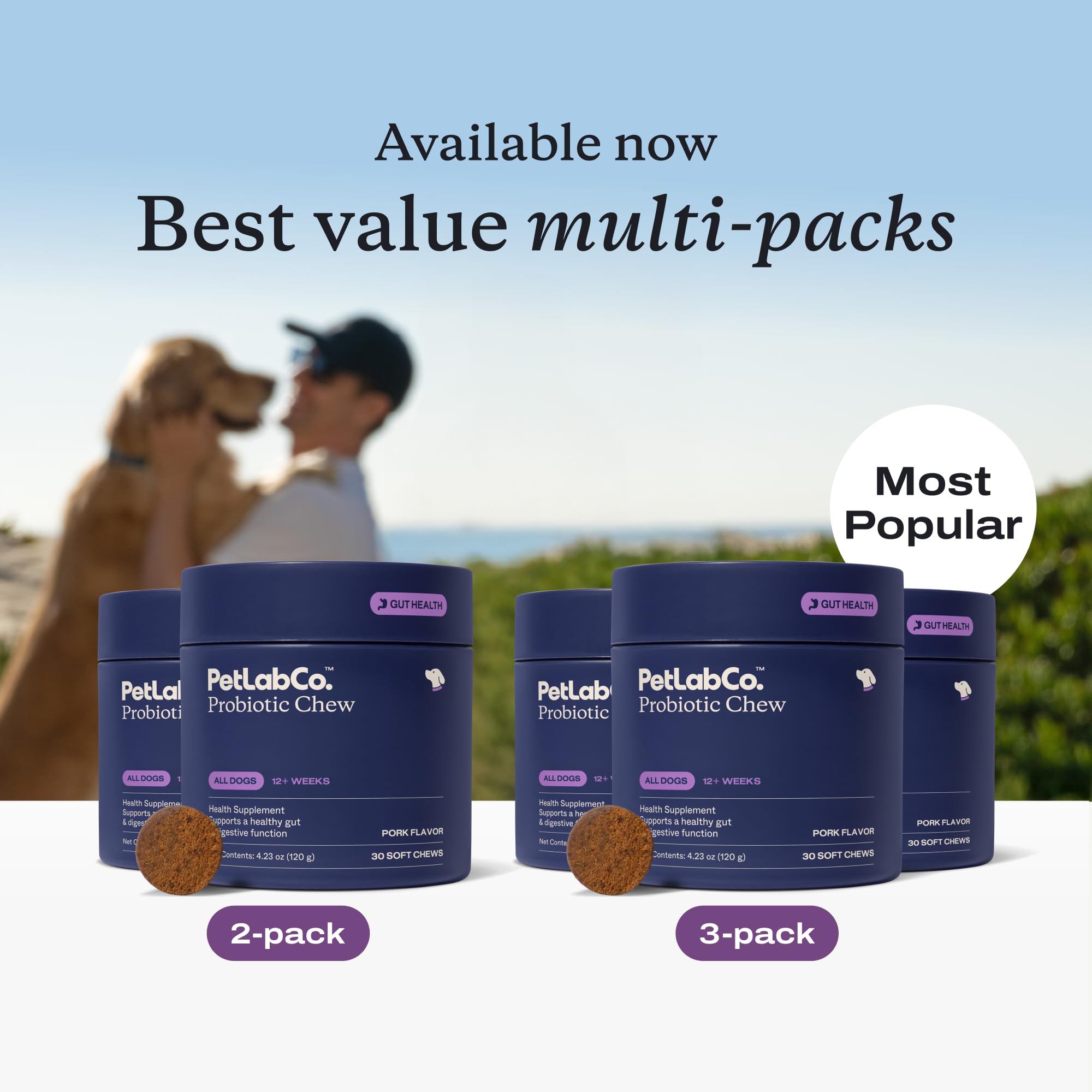 PetLab Co Probiotics para perros: perro comiendo gomitas durante la rutina diaria.