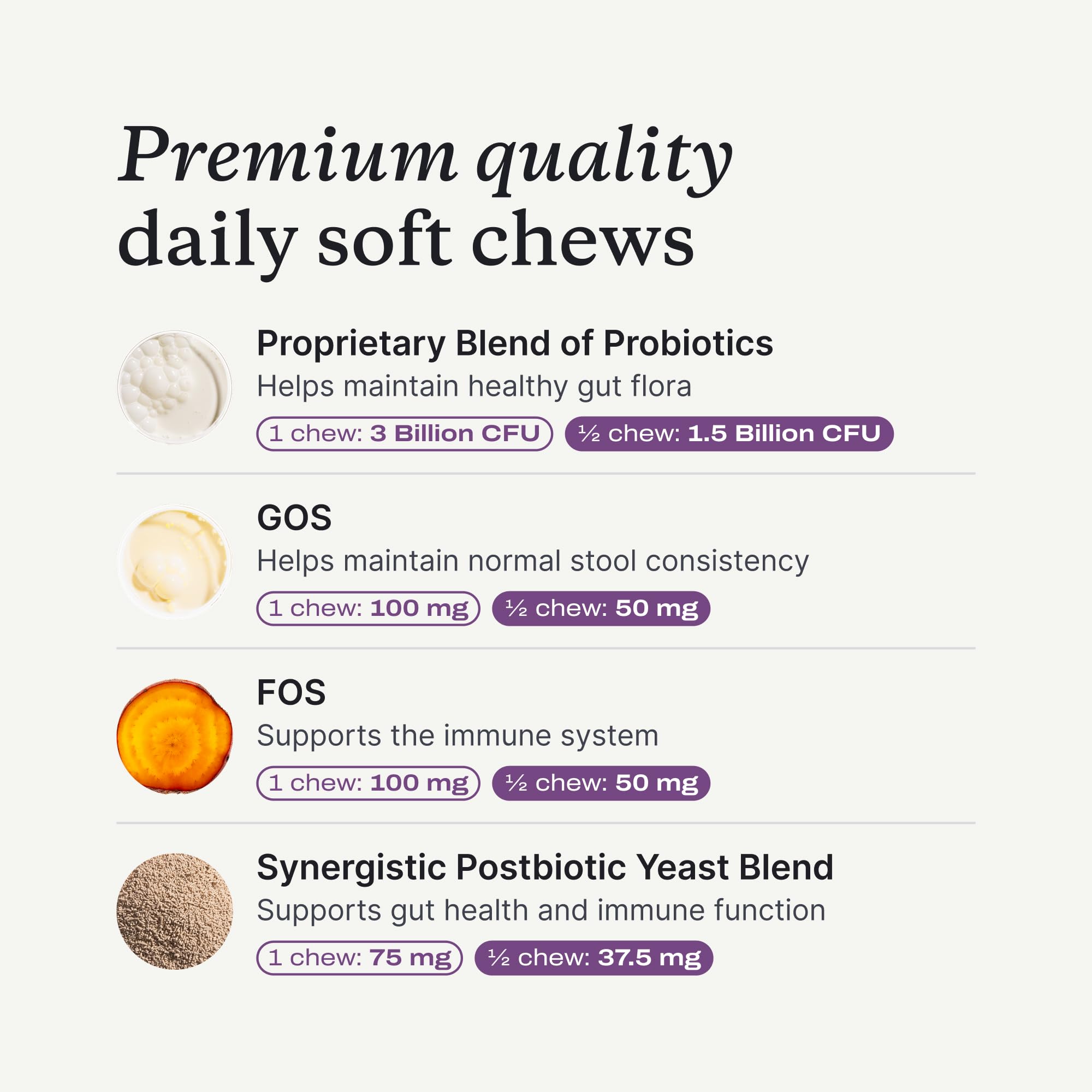 Perro masticando PetLab Co Probiotics, pastilla para apoyo estomacal y bienestar