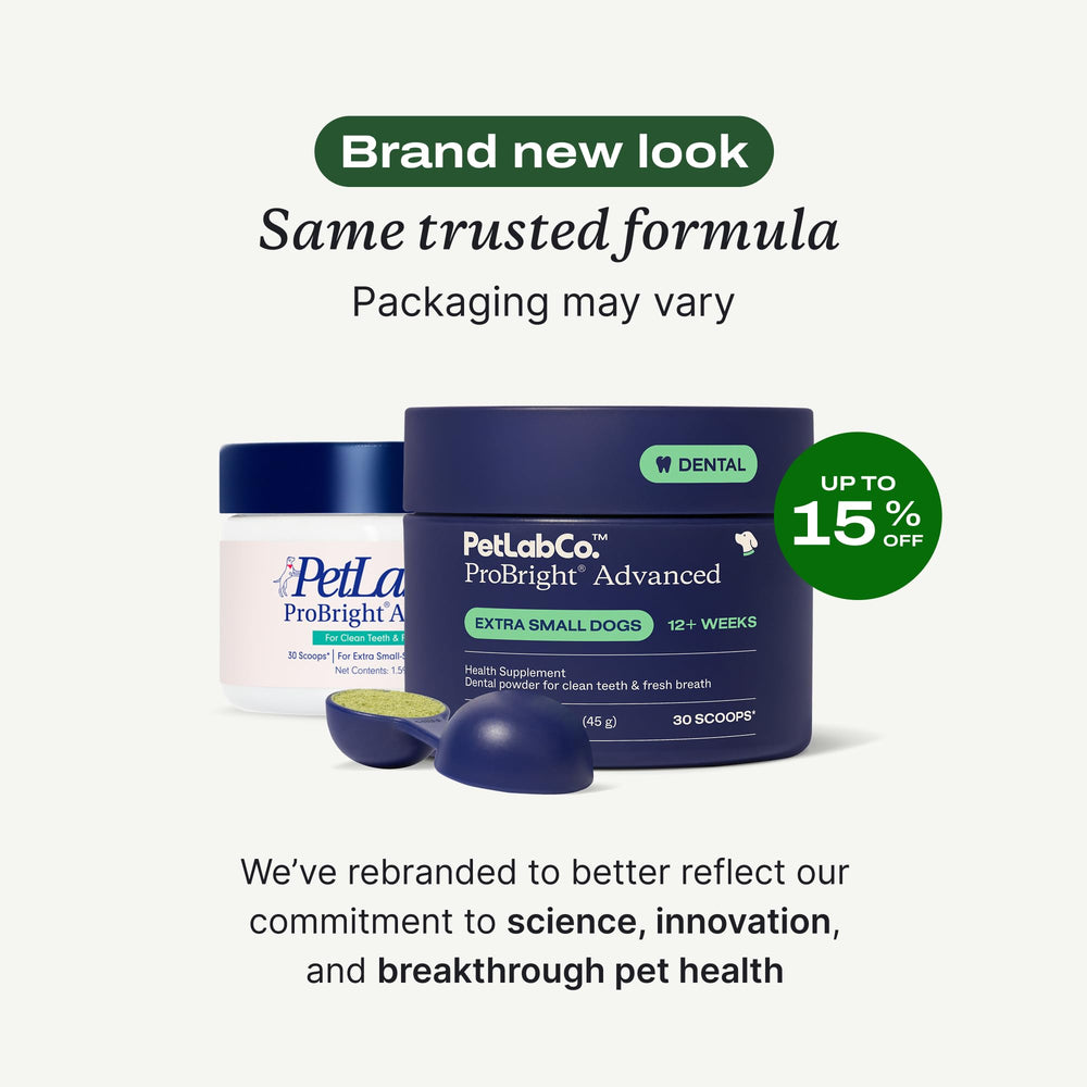 Cuchara de medición de ProBright para dosis precisas.