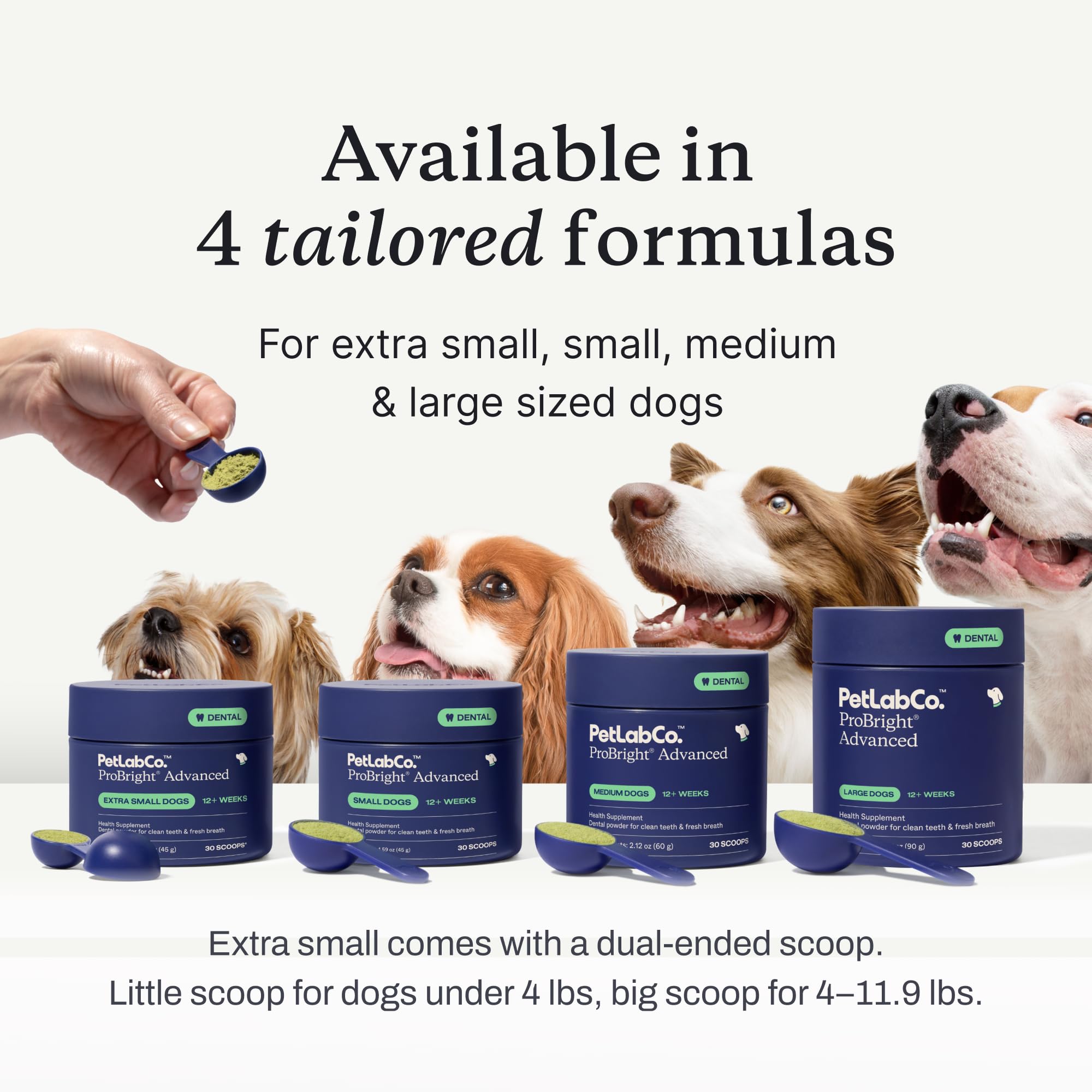 PetLab Co ProBright producido en Estados Unidos con estándares NASC.