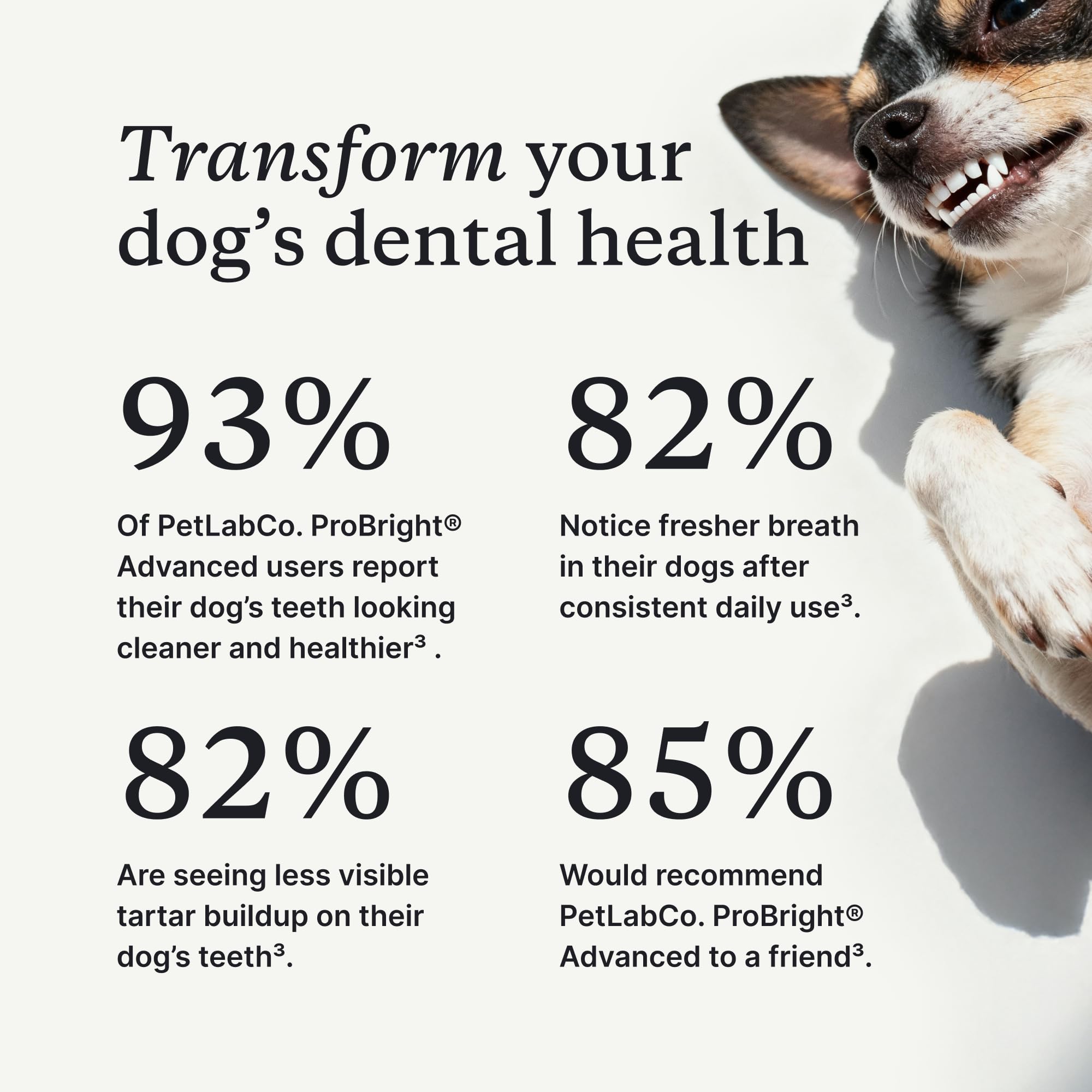 PetLab Co ProBright fórmula adaptada al tamaño del perro para mayor comodidad.