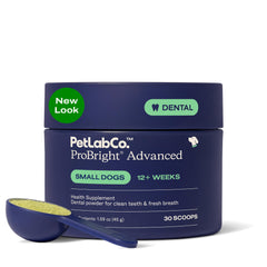 PetLab Co ProBright polvo dental para perros pequeños facilita una limpieza bucal más eficiente.