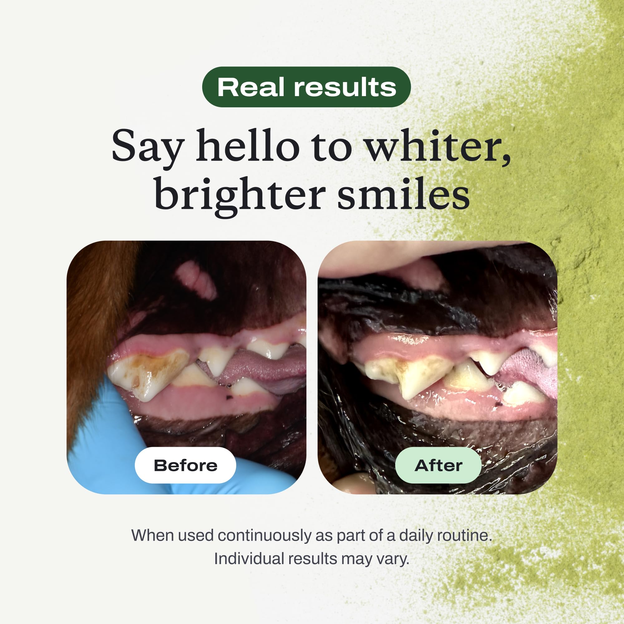 PetLab Co ProBright opción práctica para cuidado dental diario