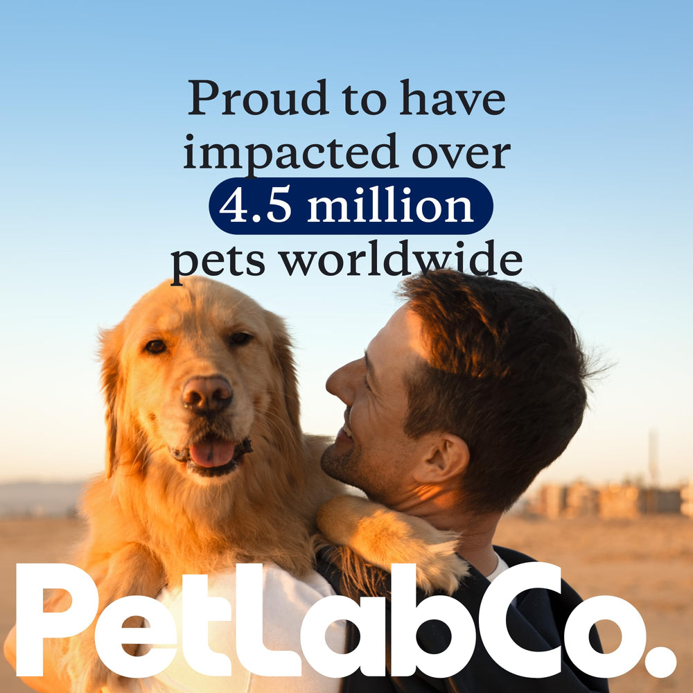 PetLab Co. uso diario, complemento para la rutina de salud canina
