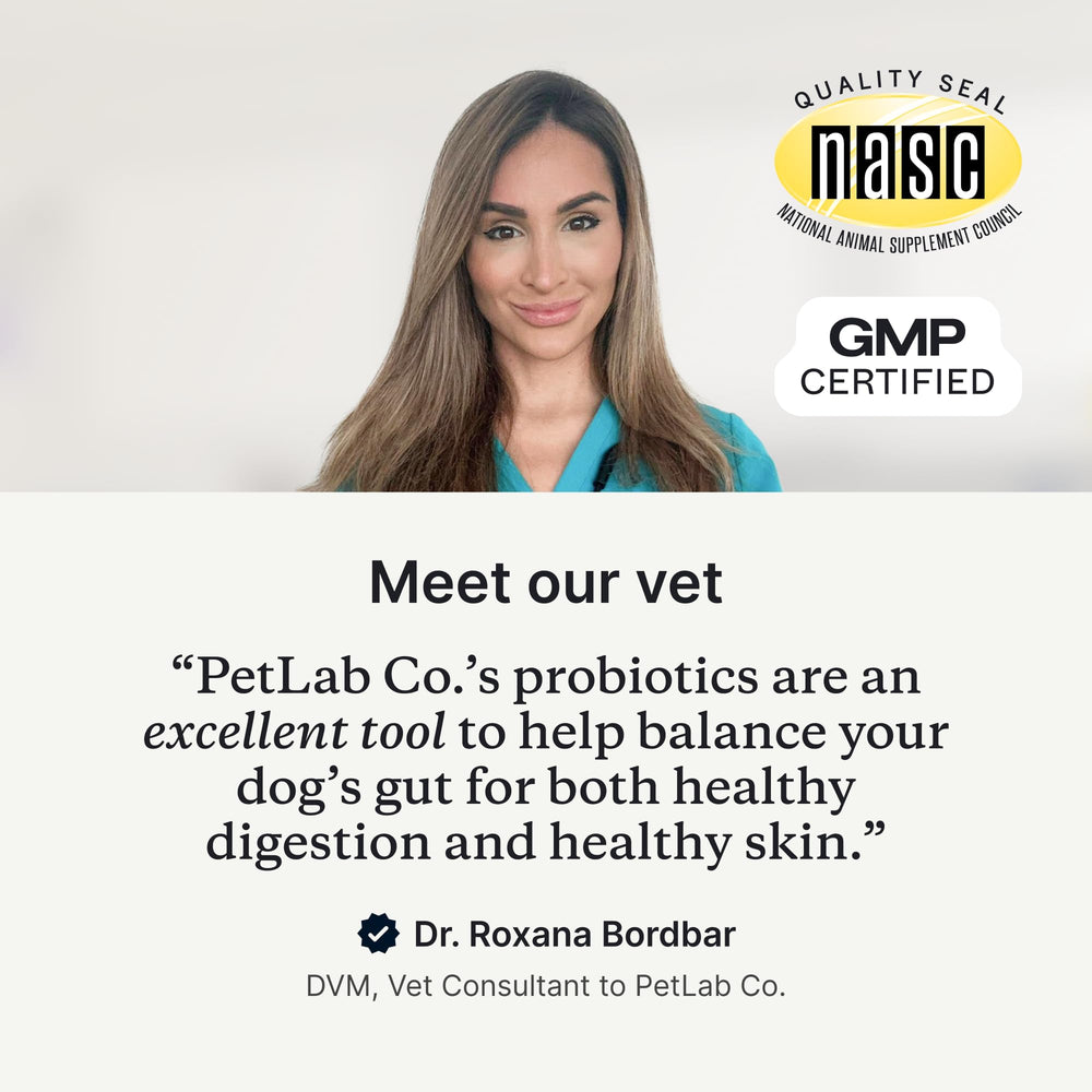 PetLab Co Probióticos para perros, gomitas suaves sabor salmón, palatabilidad diaria para perros.