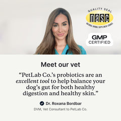 PetLab Co Probióticos para perros, gomitas suaves sabor salmón, palatabilidad diaria para perros.