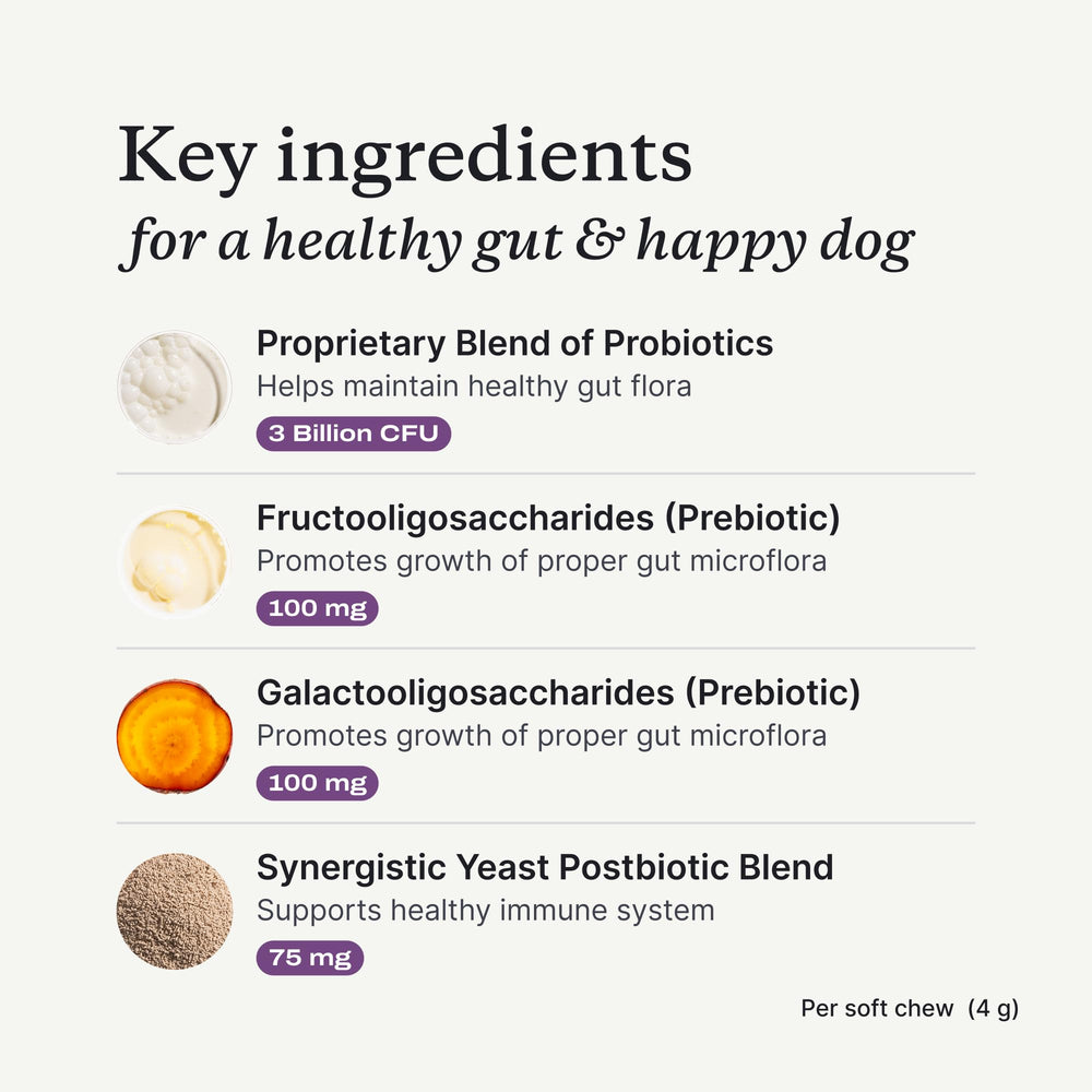PetLab Co Probióticos para perros, inulina y calabaza, apoyo digestivo natural.