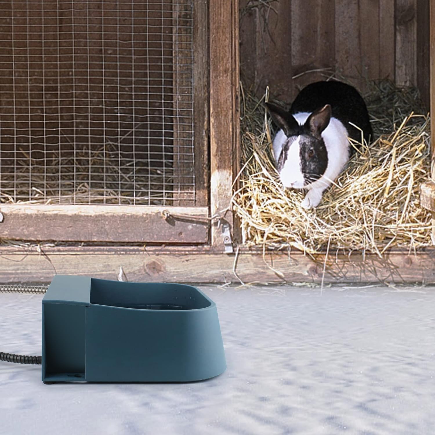PETLESO cuenco para aves y conejos, agua disponible al aire libre