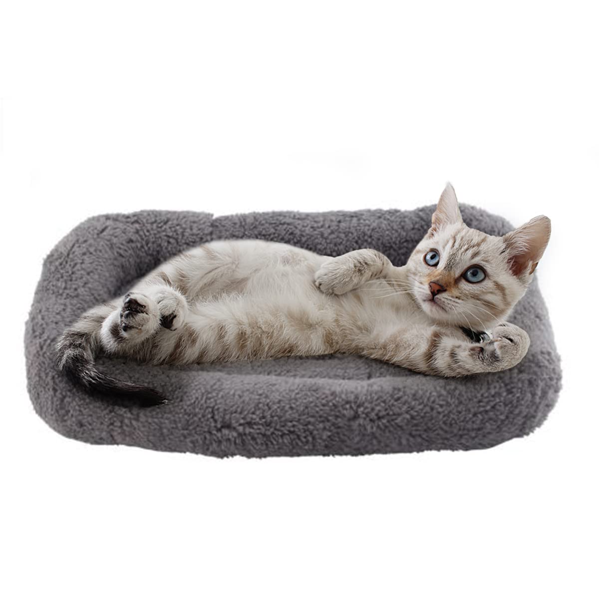 Cama PETLESO para gatos en peluche 15x10, suave y cálida para siestas.