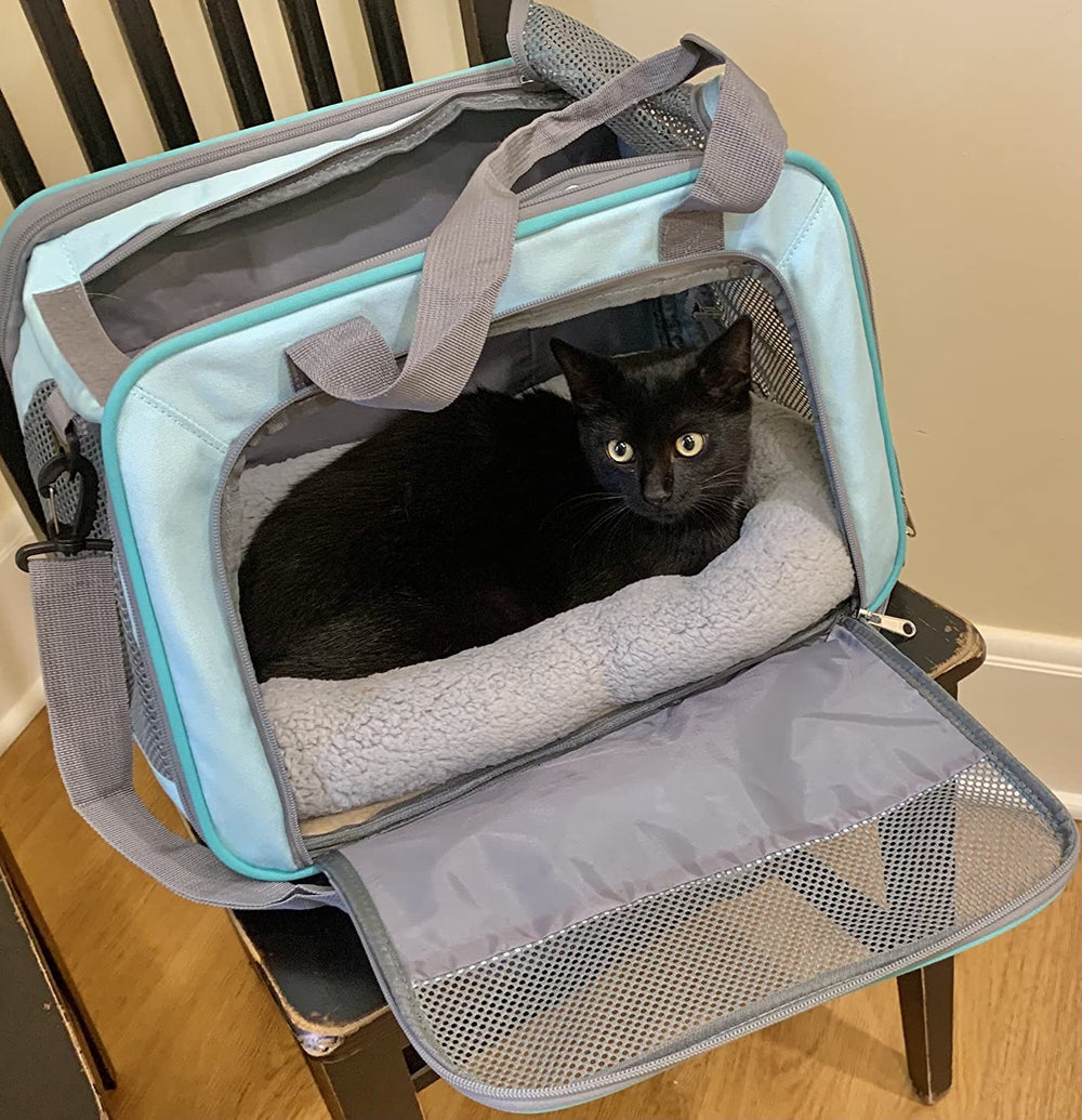 Cama PETLESO portátil para gato, ligera y fácil de llevar.