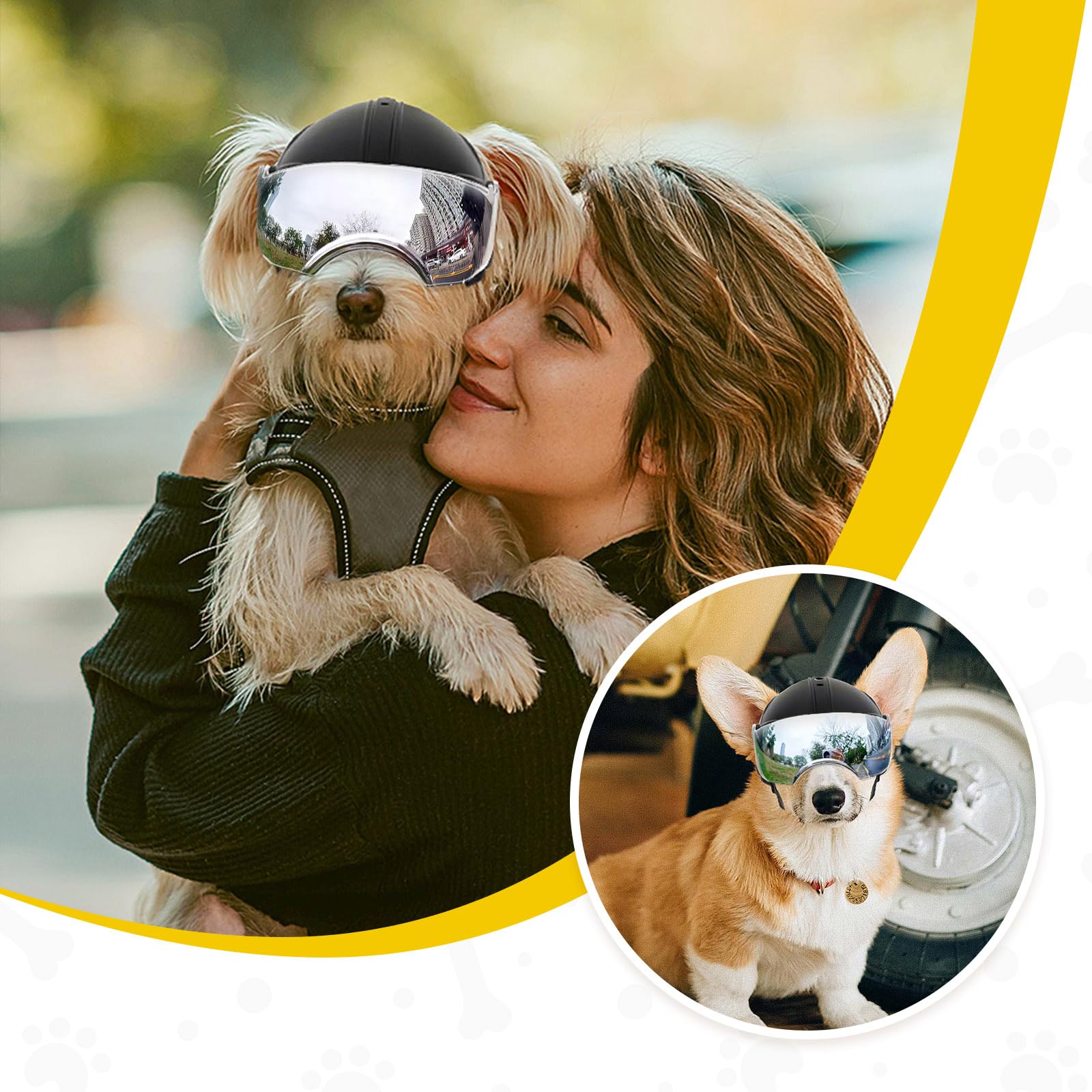 Paseos al exterior con PETLESO casco para perros en ciudades y senderos.