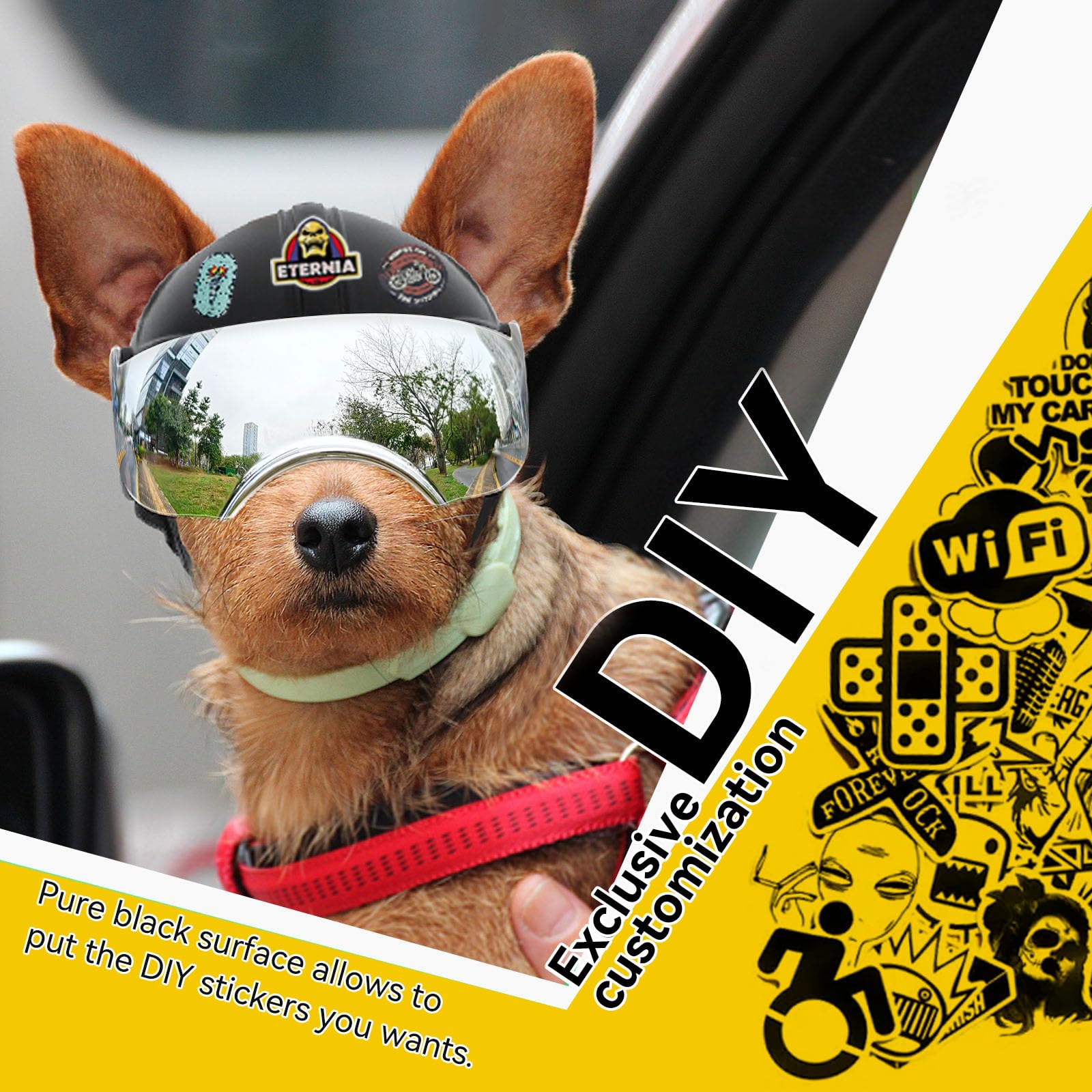 Protección ocular PETLESO con casco resistente para salidas al aire libre.