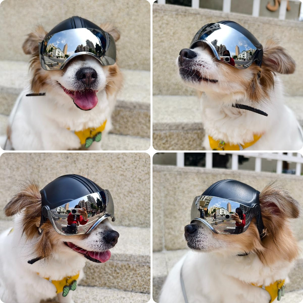 Casco PETLESO para perros pequeños, ideal para razas pequeñas.