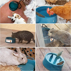 Petleso cuenco agua caliente para gato, evita agua congelada durante el invierno