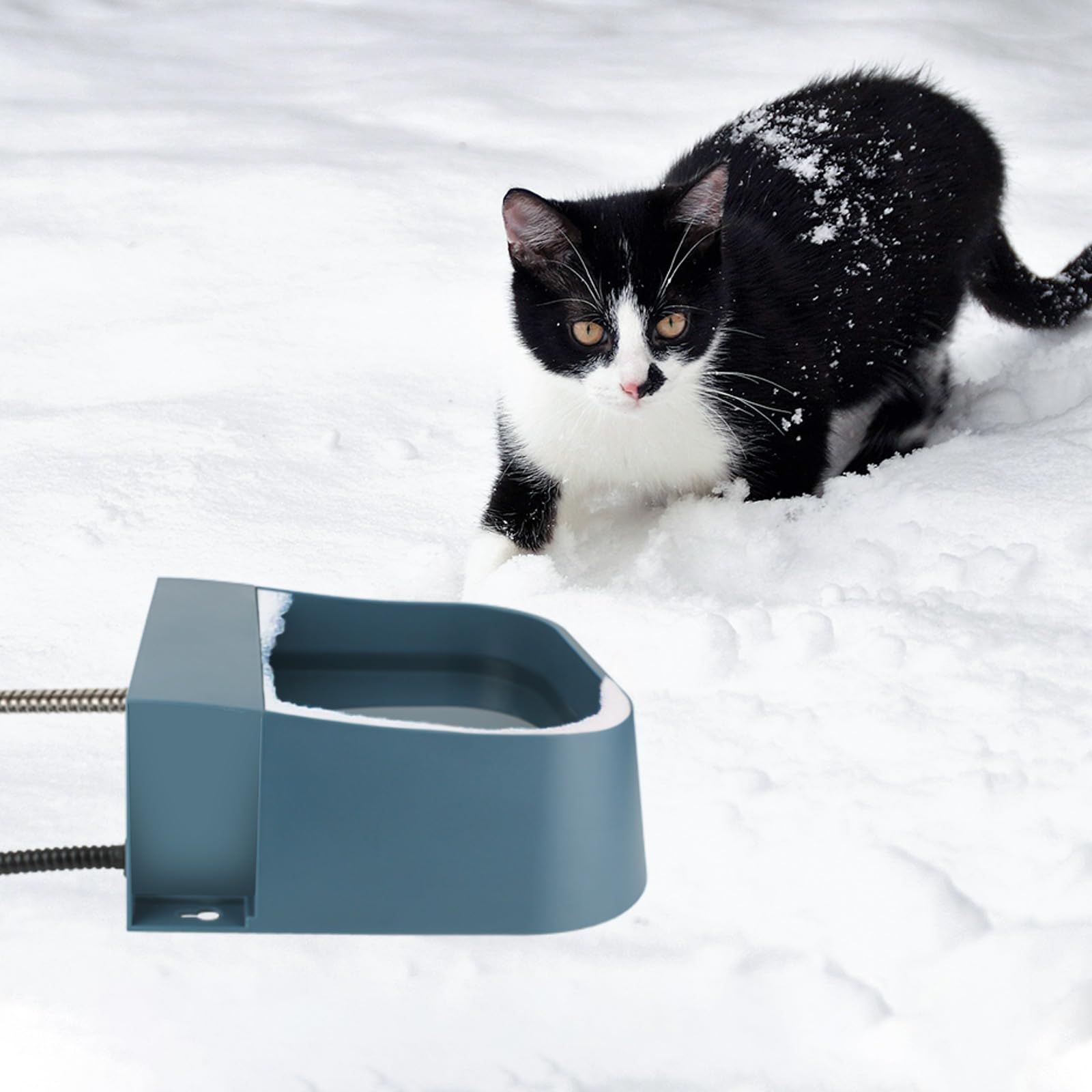 PETLESO diseño resistente anti mordida, apto para perros curiosos