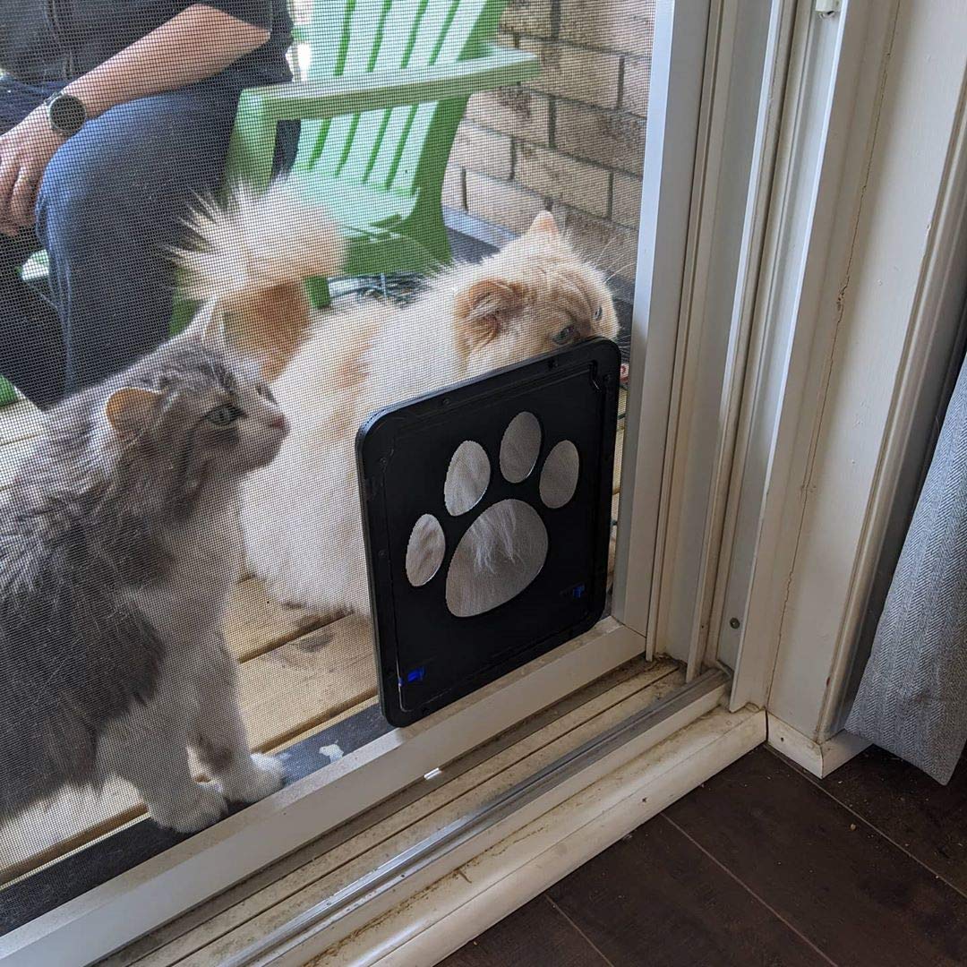 PETLESO guia simple para enseñar a la mascota.