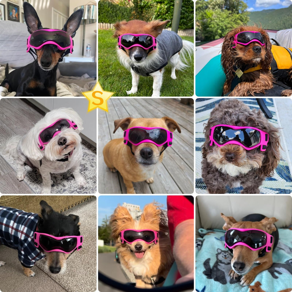 Gafas PETLESO para evitar empañamiento de lente durante salidas.