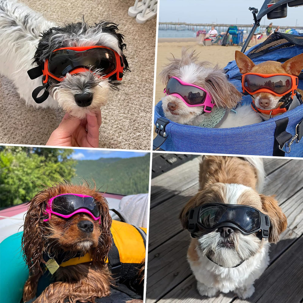 PETLESO naranja: gafas visibles para paseos