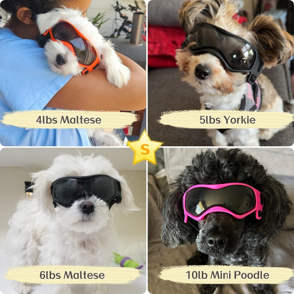Gafas PETLESO, diseño curvo que cubre ojos