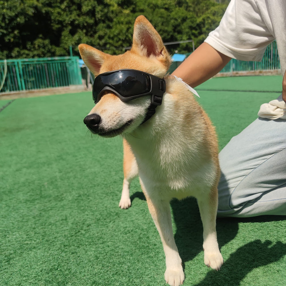 PETLESO gafas para perro tamaño medio para coche y paseos diarios