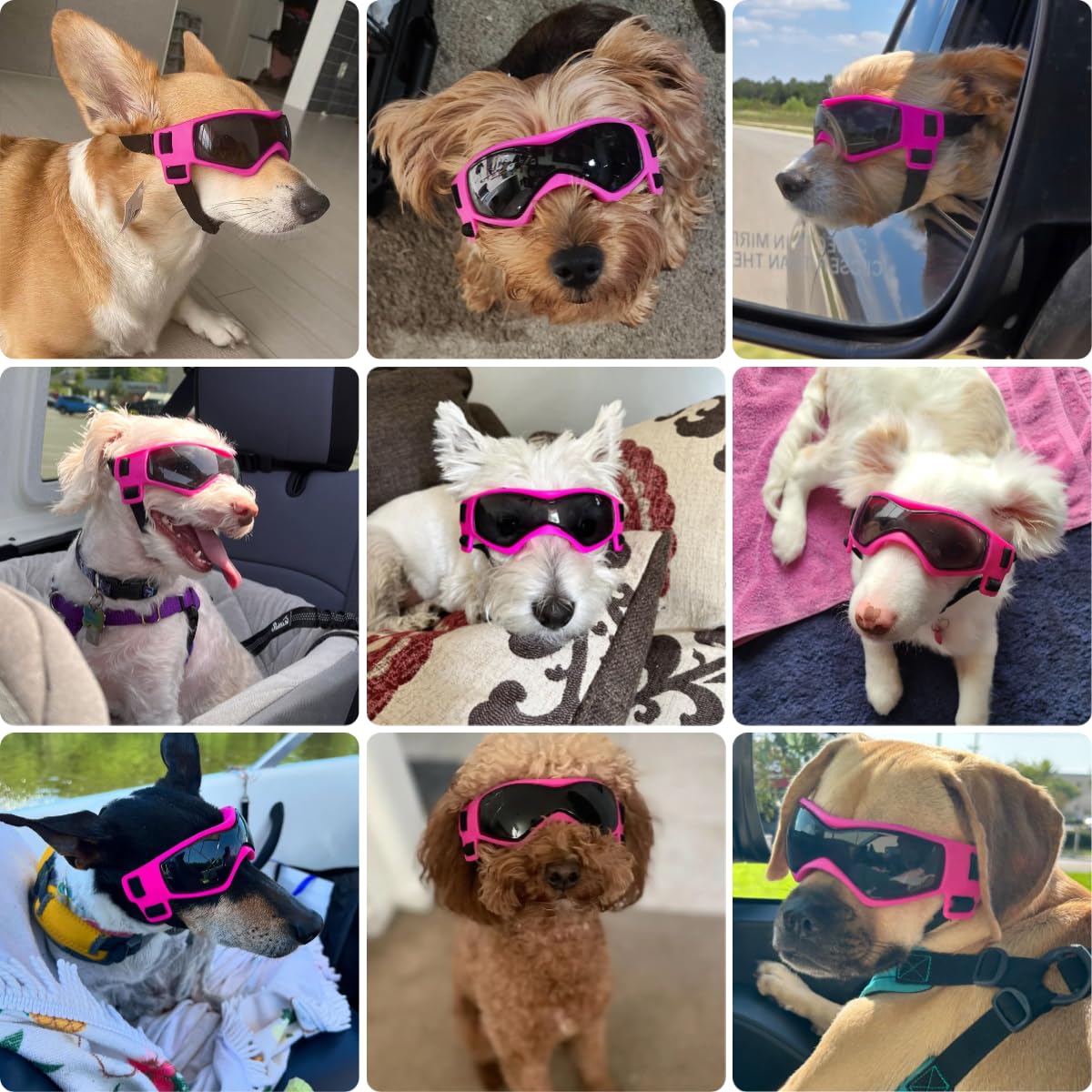 PETLESO gafas para perro mediano con armazón suave, comodidad en coche y caminatas.