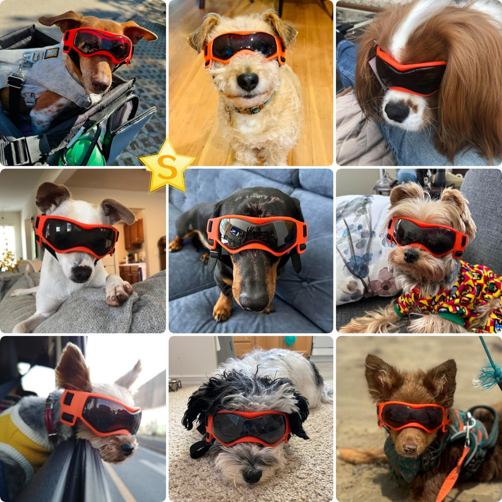 Gafas PETLESO para perros en aire libre