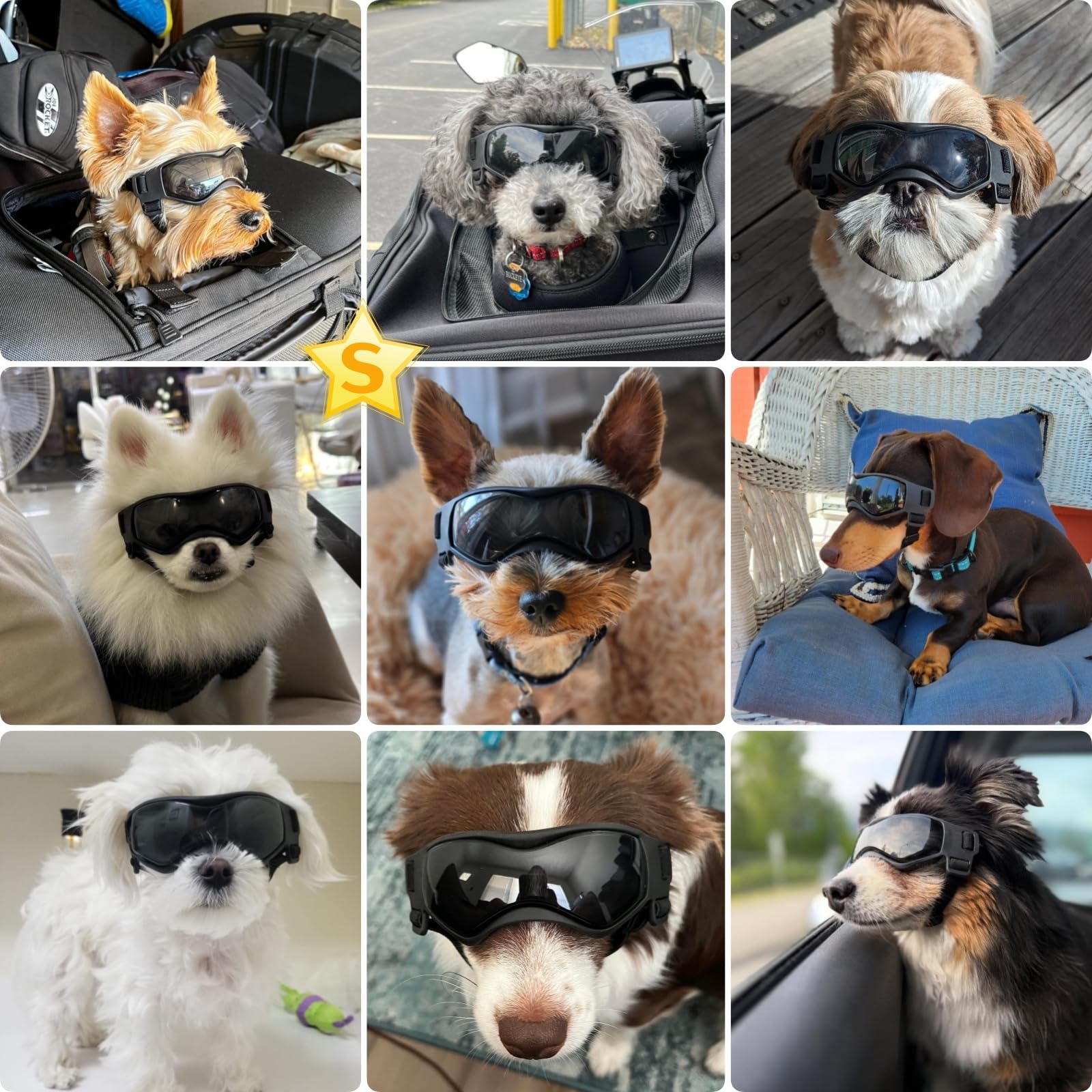 PETLESO gafas para perros, armazón suave con ventilaciones para comodidad en paseos.