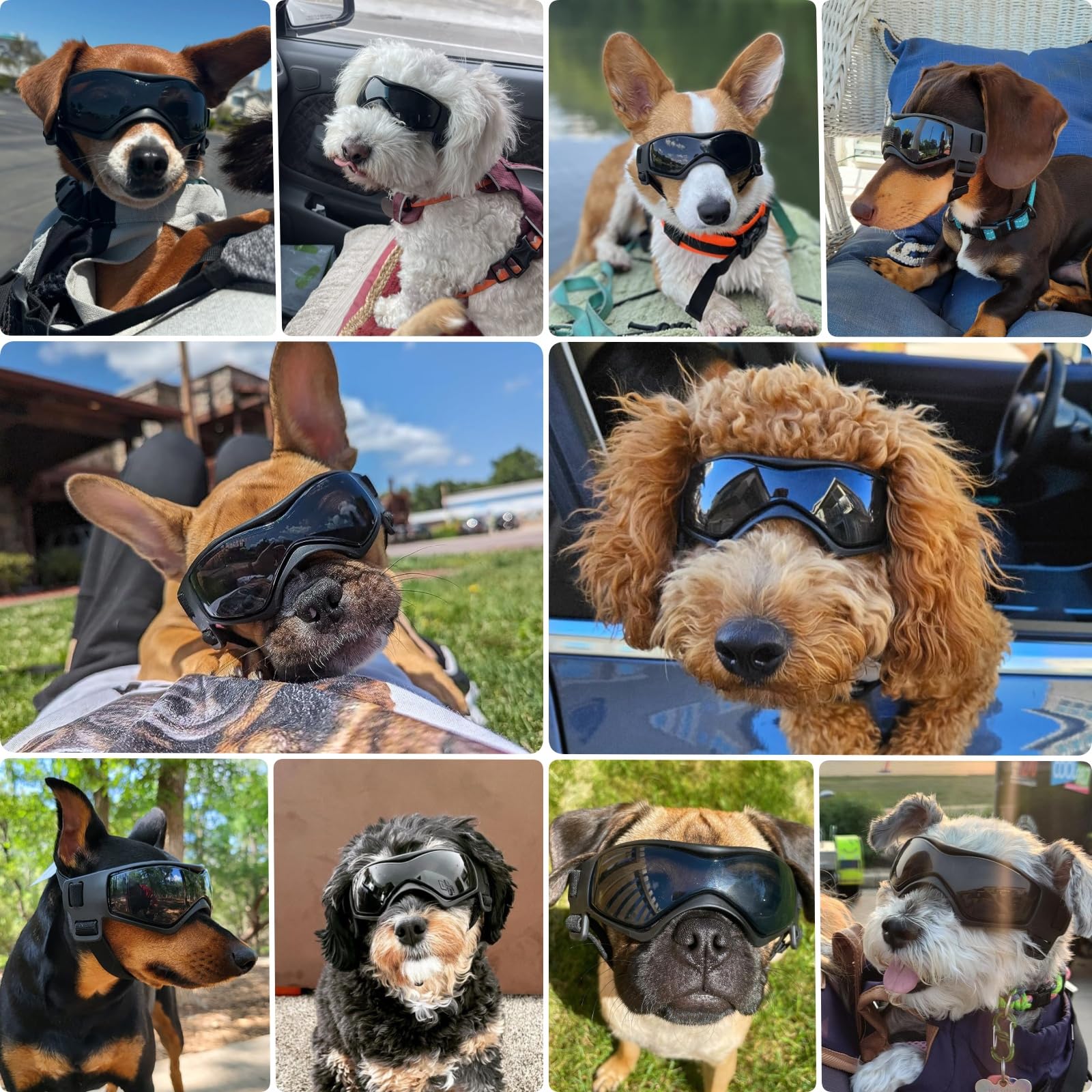 PETLESO gafas para perro tamaño medio con lentes curvados para ajuste en paseos