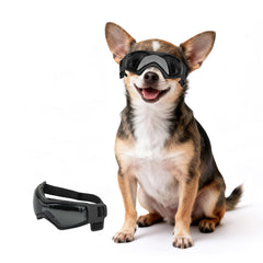 Gafas PETLESO para perro XS con foco en protección ocular durante paseos