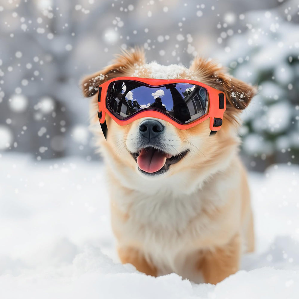 PETLESO gafas para perros durante viajes en coche
