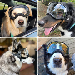 PETLESO gafas protección perros con visión amplia curva para campo visual