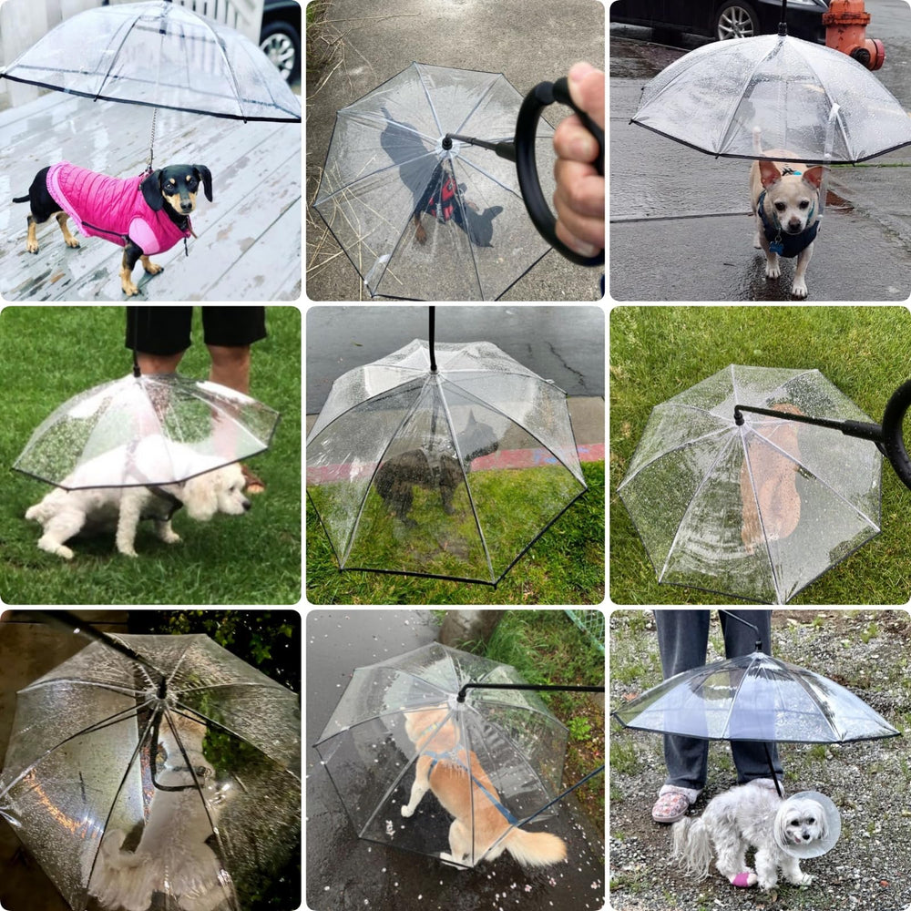 Petleso paraguas para perro pequeño, correa ajustable facilita paseos cómodos.