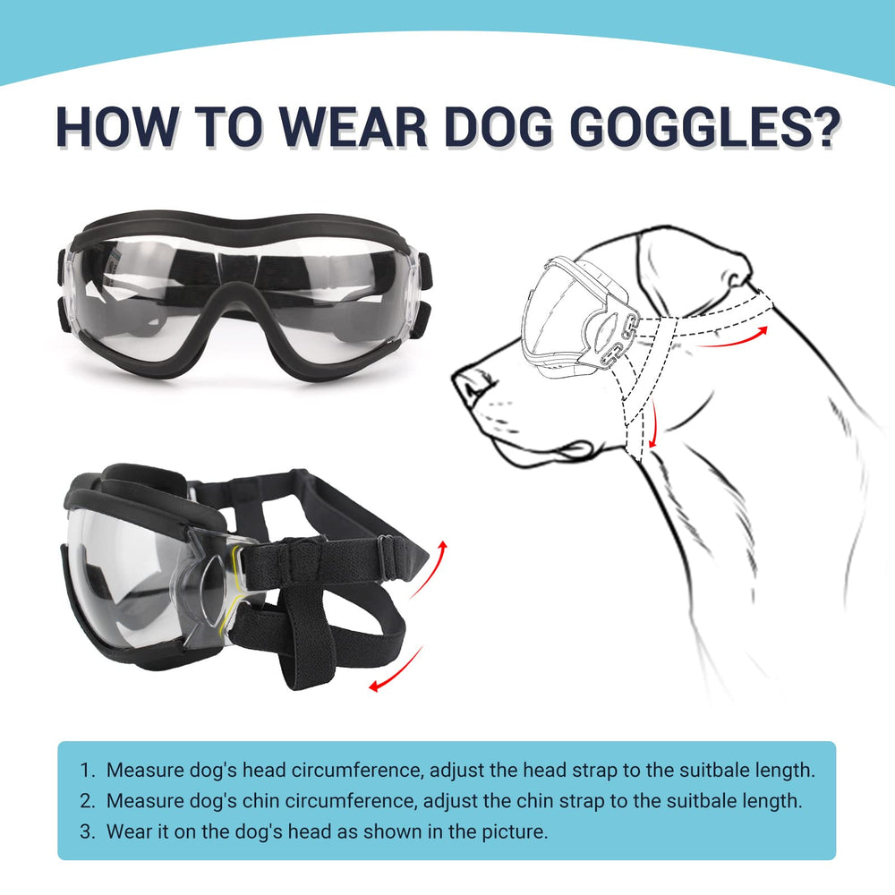 PETLESO protección ocular para perros con ojos sensibles durante rutas largas