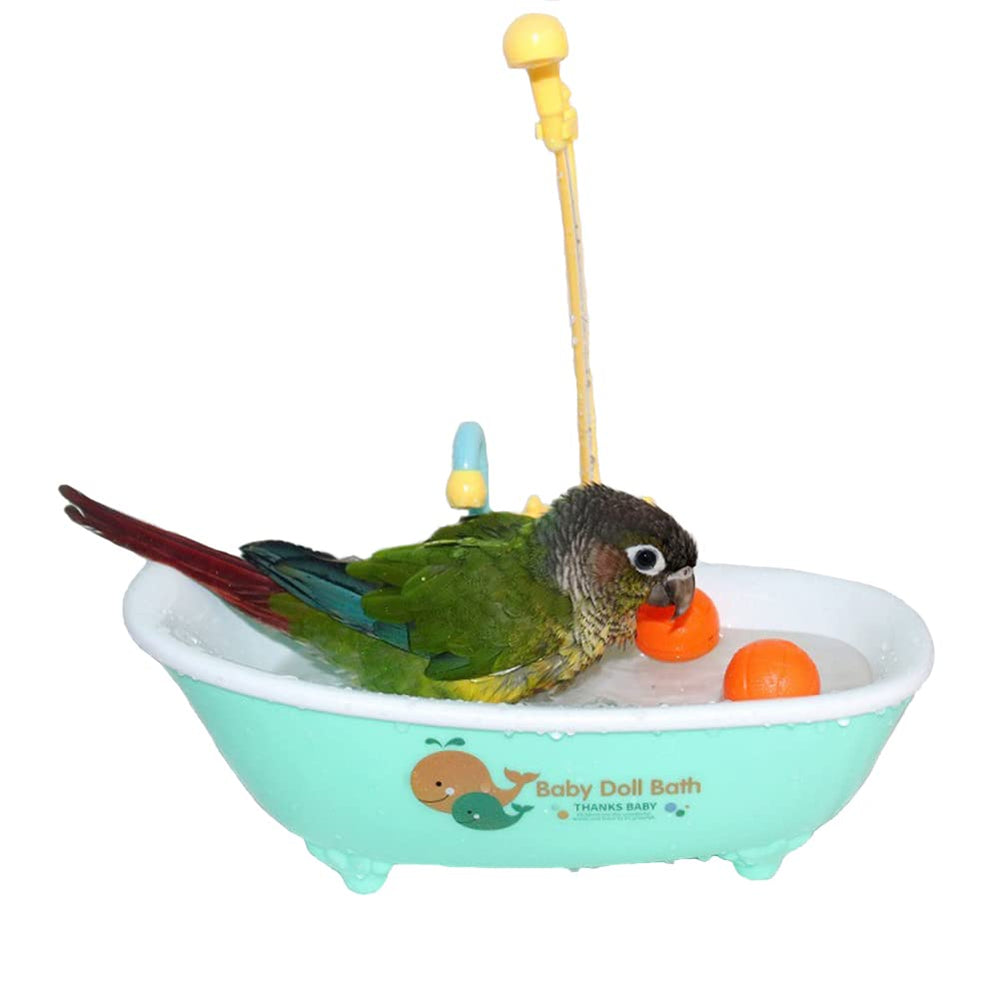 Petlex banera-ave-azul: baño seguro y cómodo para aves pequeñas.
