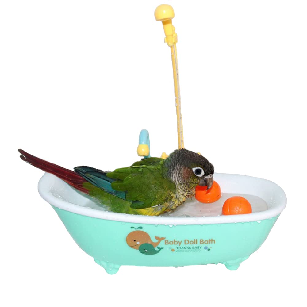 Petlex banera-ave-azul: baño seguro y cómodo para aves pequeñas.