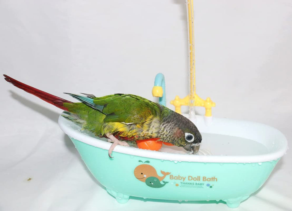 Petlex bano-ave-interior: perfecto para aves pequeñas en casa.