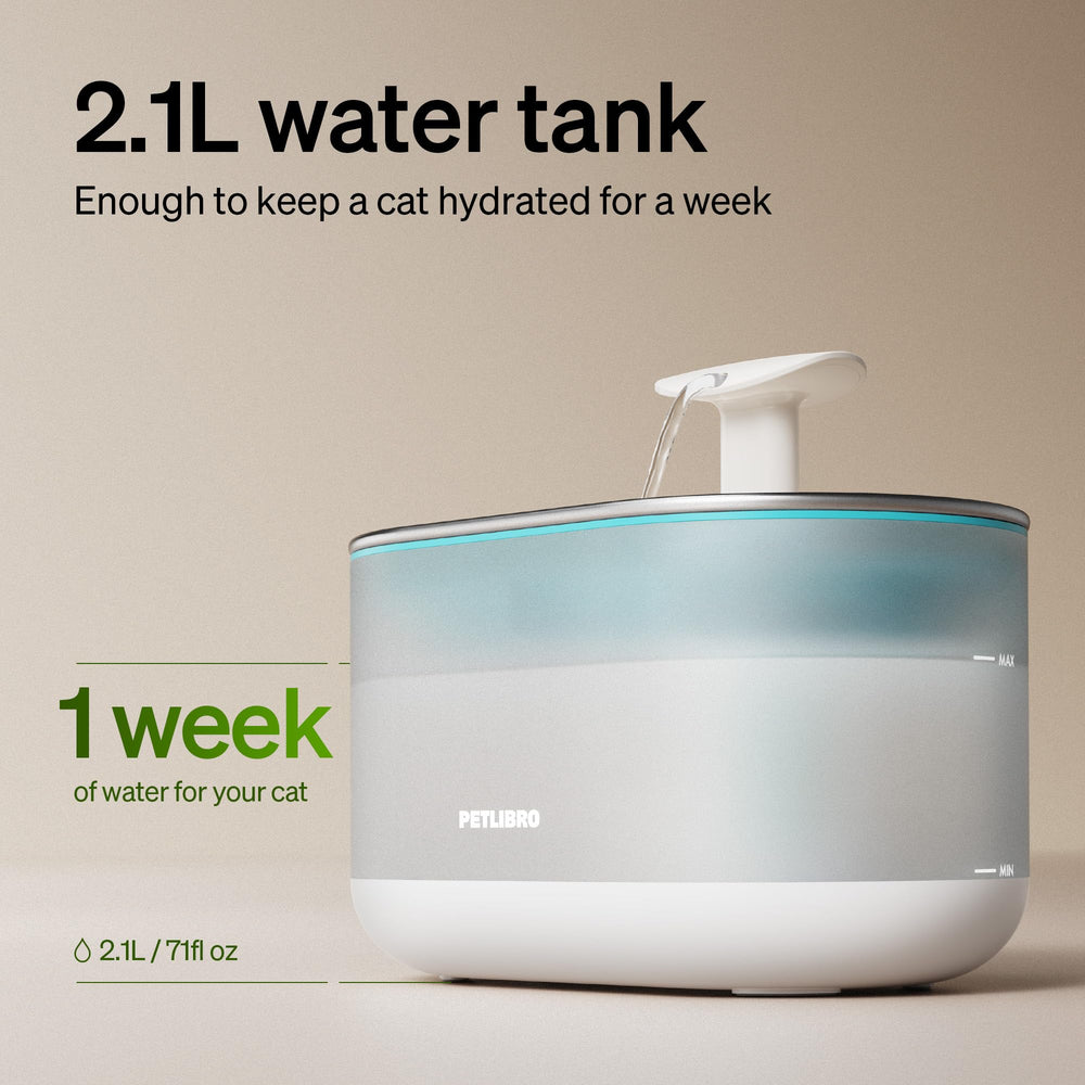 PETLIBRO Fontana, flujo de burbujas que estimula la curiosidad del gato.