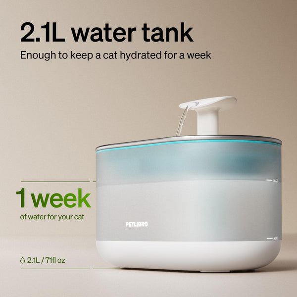 PETLIBRO Fontana, flujo de burbujas que estimula la curiosidad del gato.