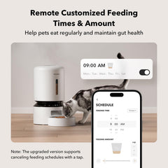 PETLIBRO programación de comidas diarias facilita horarios constantes para tu gato.