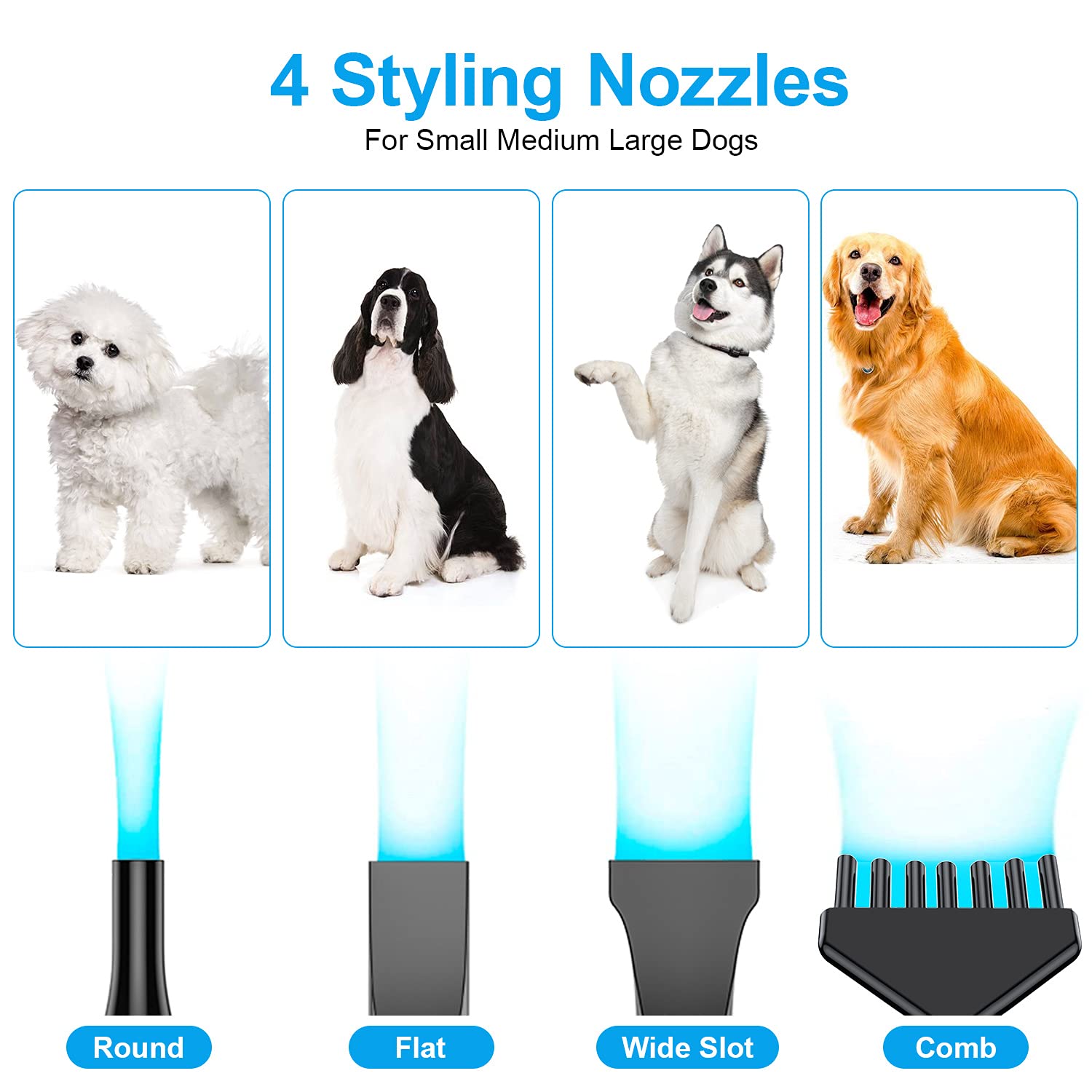 PetLife secador profesional, diseño duradero para uso diario.