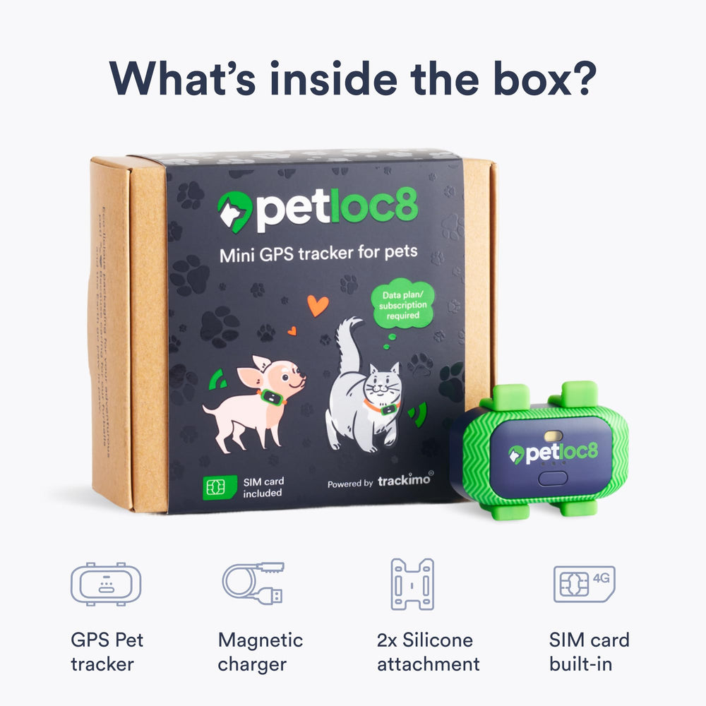 PETLOC8 diseño compatible con collar para uso cómodo