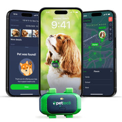 PETLOC8 muestra seguimiento en tiempo real a través de la app para localizar a tu perro