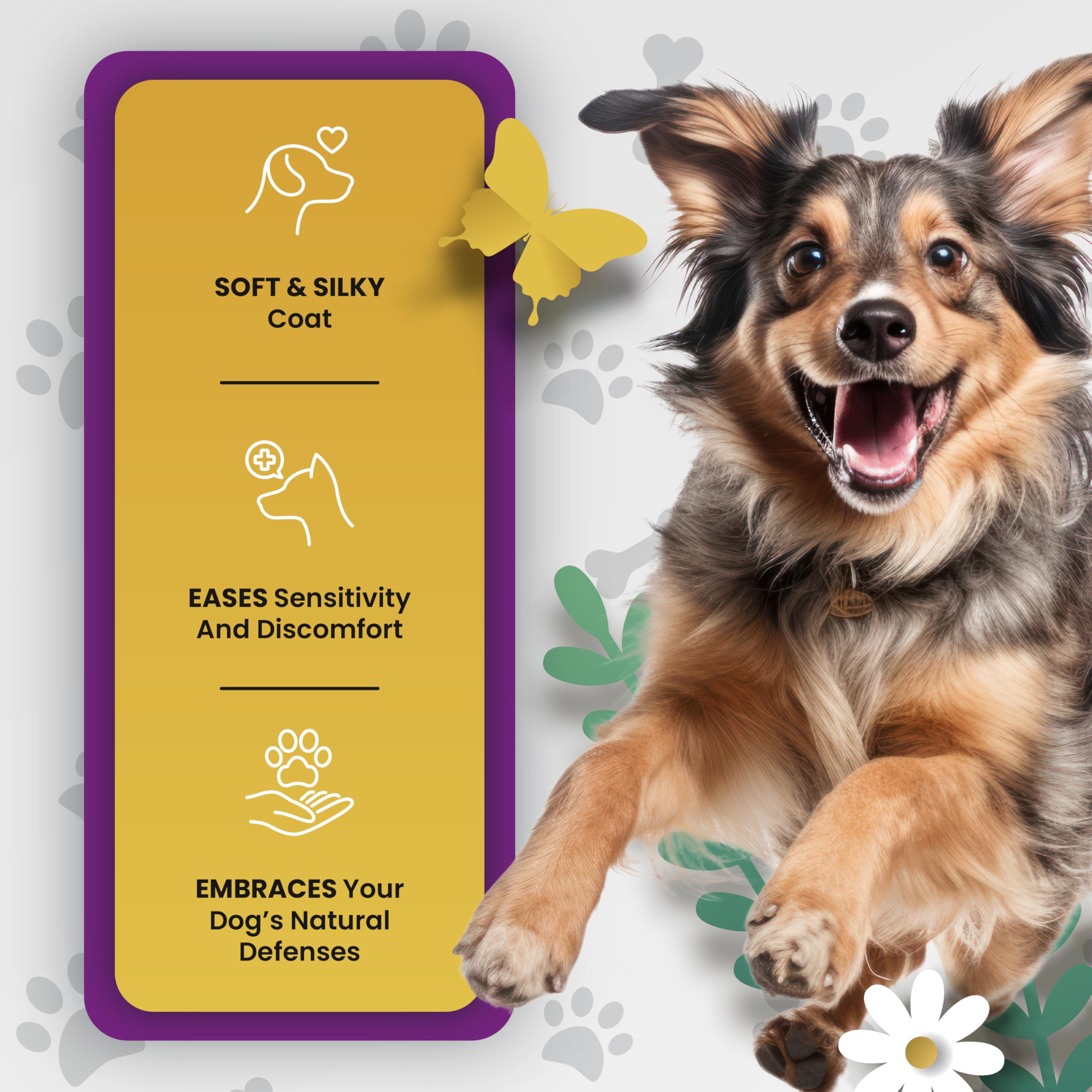 PetMade Omega 3 para perros: beneficios para piel y pelaje