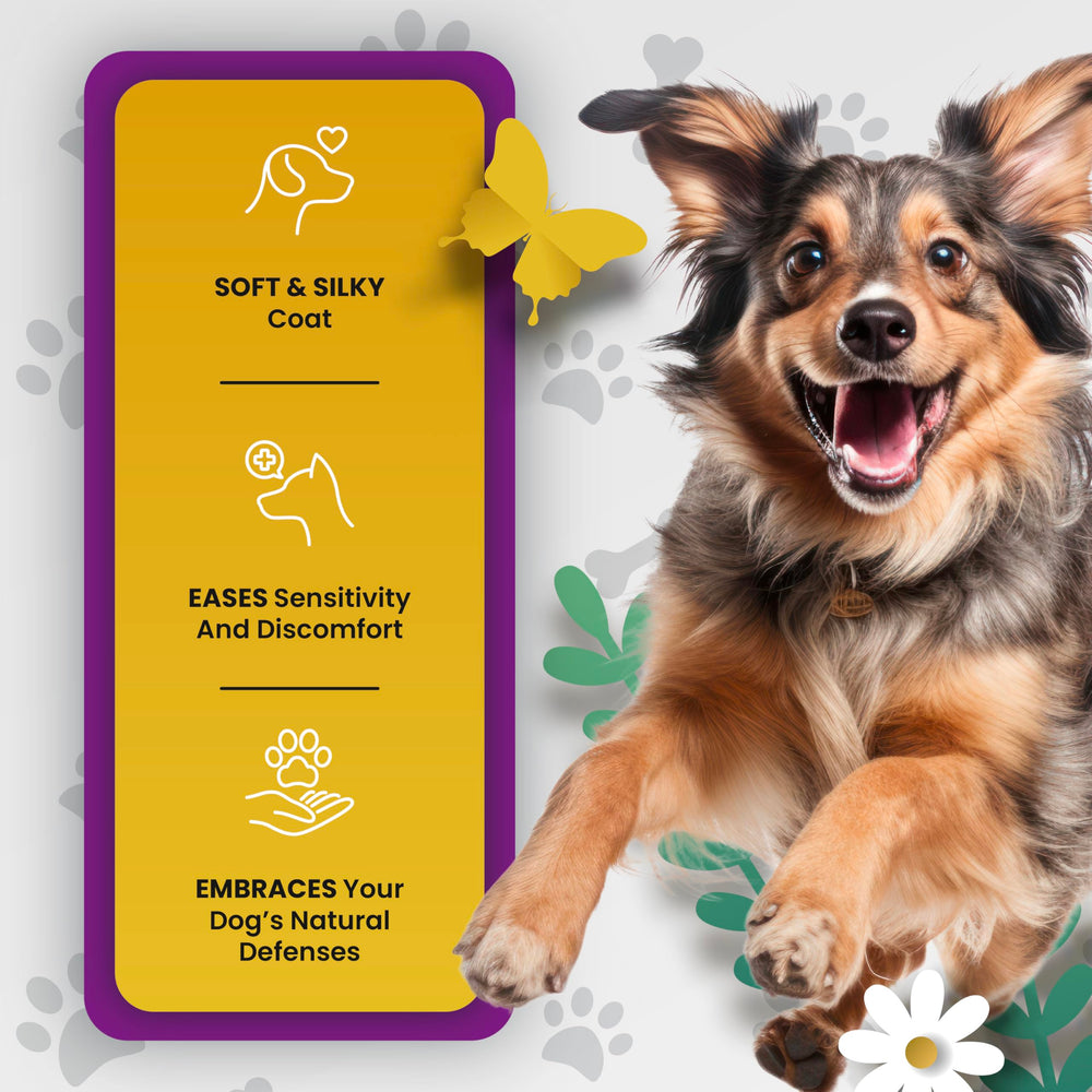 PetMade Omega 3 para perros: beneficios para piel y pelaje