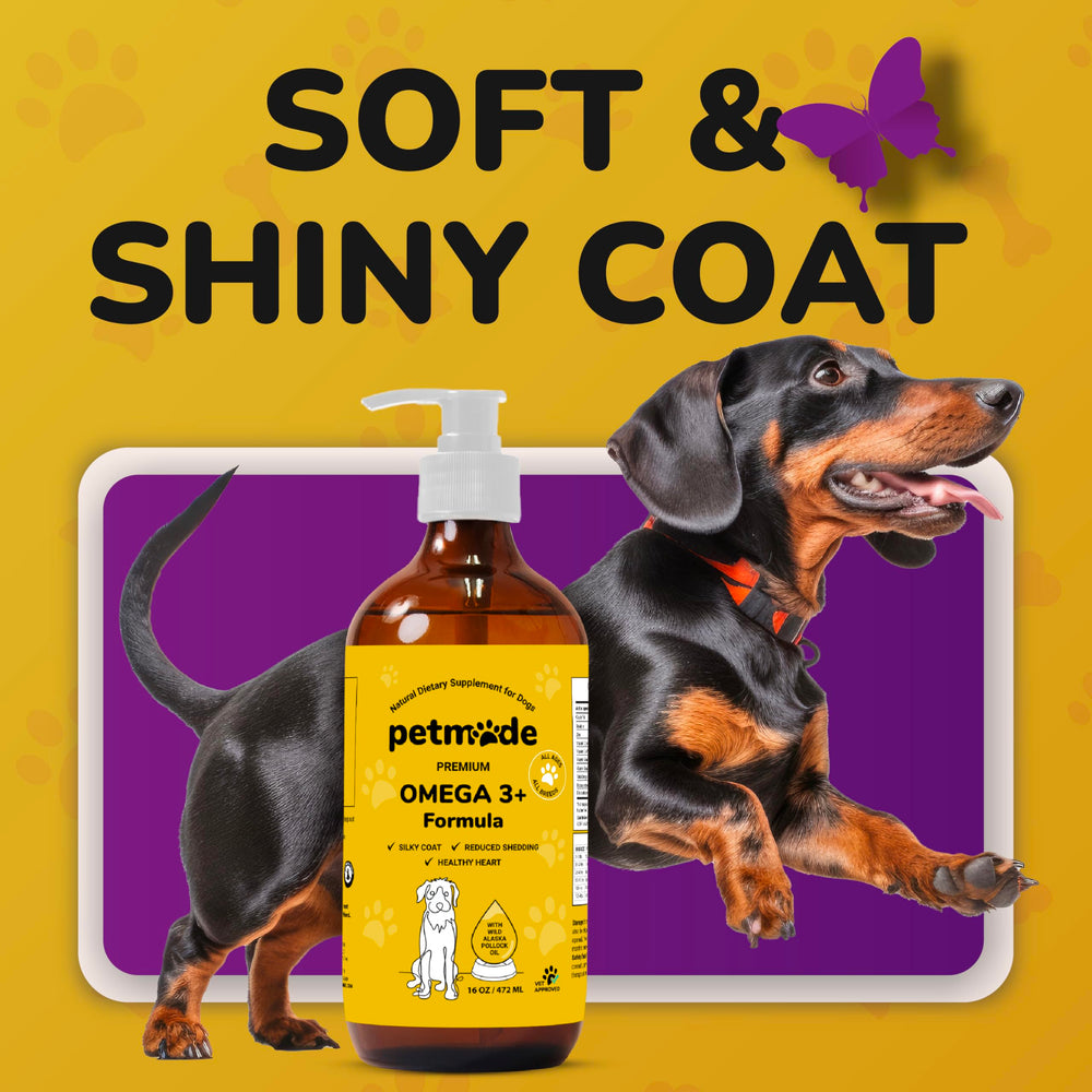 PetMade zinc y vitaminas para soporte nutricional de caninos