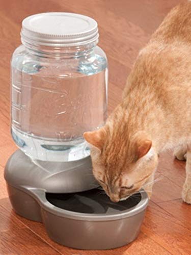 Petmate Dispensador de agua por gravedad, suministro continuo para mascotas