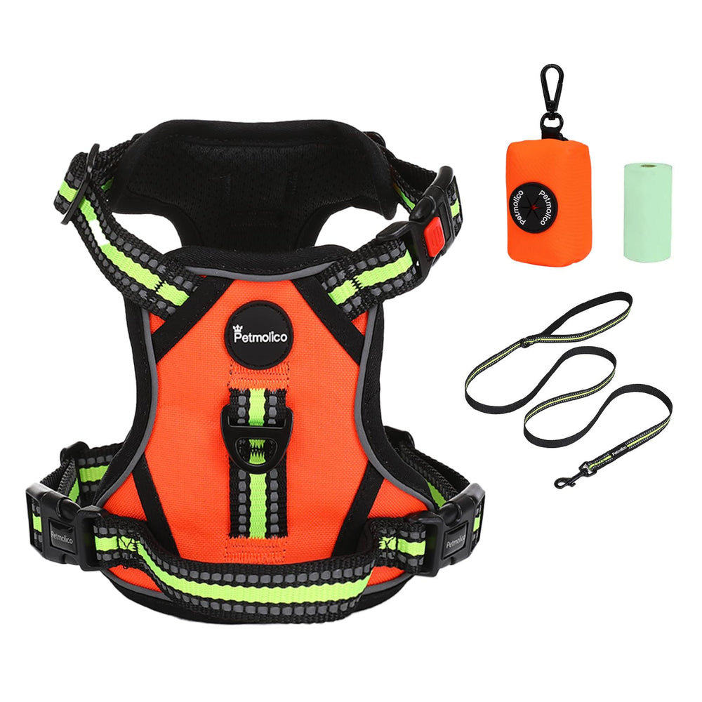 Petmolico chaleco para perro pequeño sin tirones, ideal para paseos tranquilos.