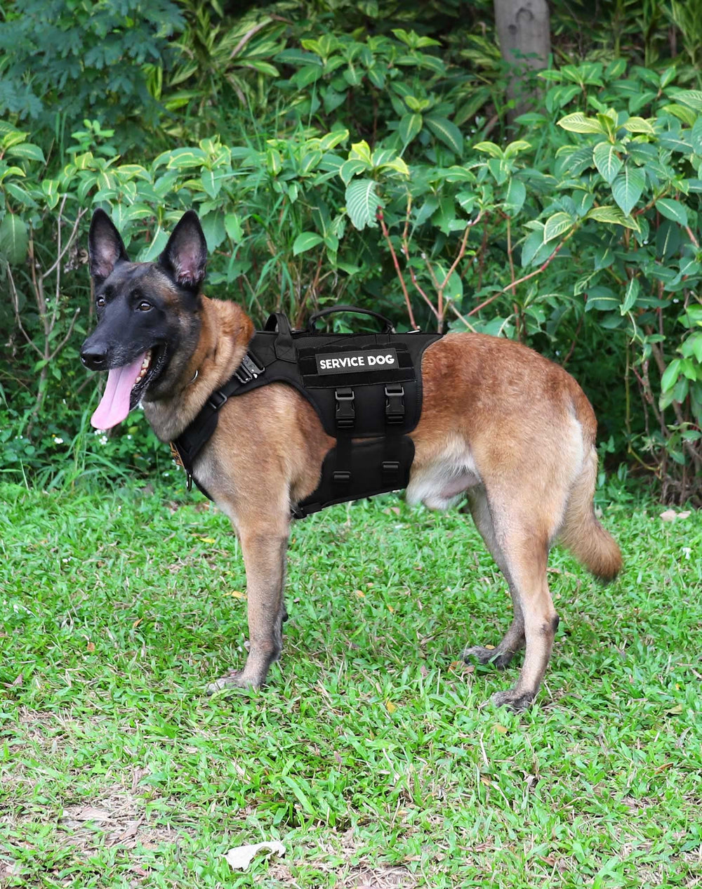 Acolchado cómodo PETNANNY para paseos largos sin irritación.