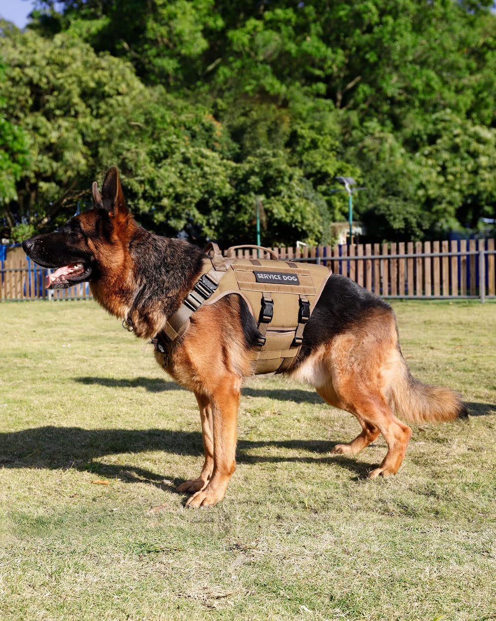 PETNANNY sistema de ajuste seguro para perros grandes