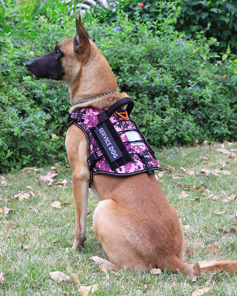 PETNANNY arnés con bolsillo de identificación integrada.